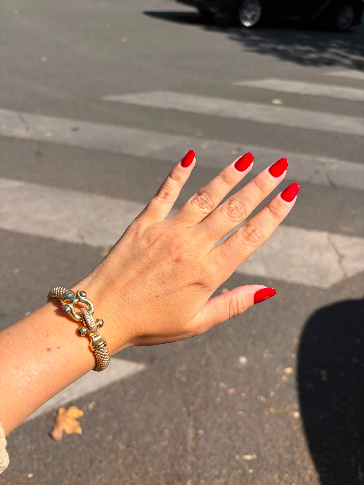 Bracelet buckle